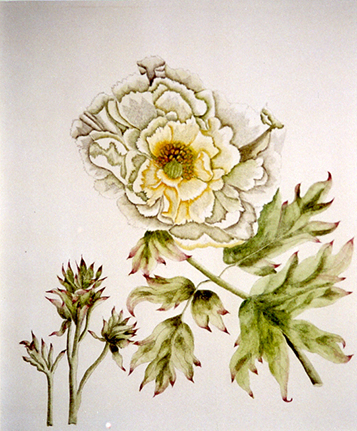 Blumen
