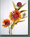 blumen