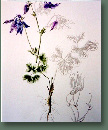 blumen