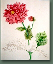 blumen