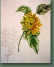 blumen