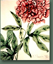 blumen