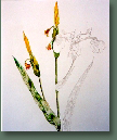 blumen