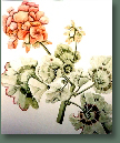 blumen