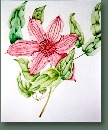 blumen